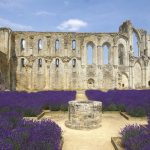 L'Abbaye de Maillezais