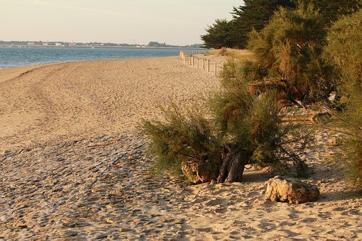 plage de saint gilles croix de vie