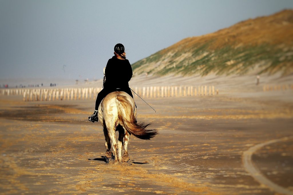 balade cheval vendée