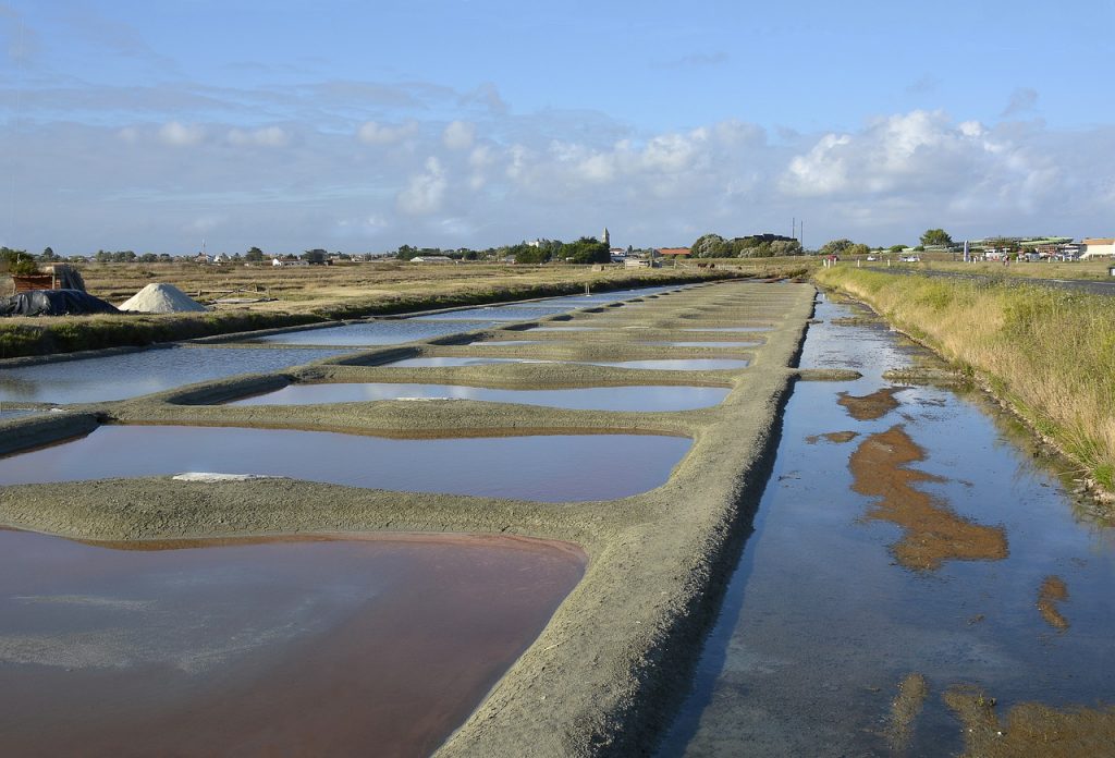 marais salants vendée