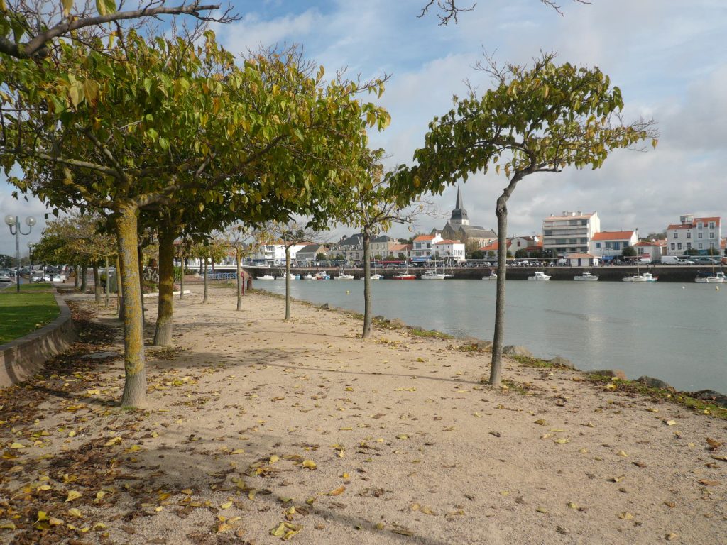 balade saint gilles croix de vie