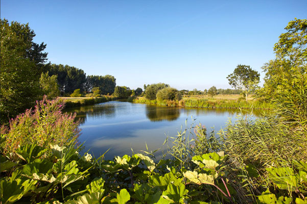 Étendu d'eau camping Notre-Dame-de-Riez