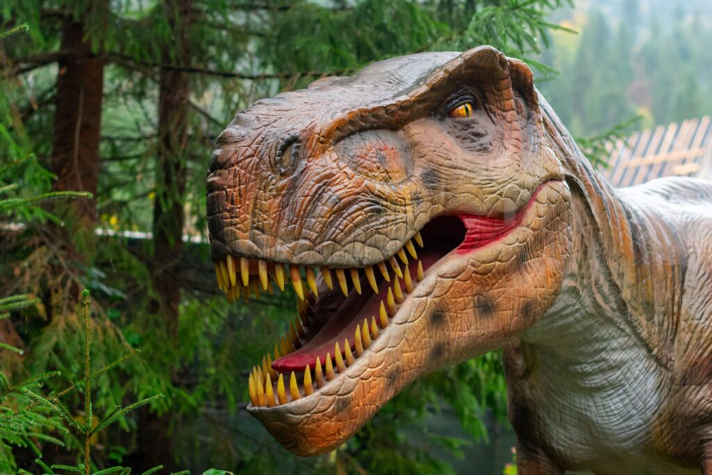 Dinos parc près du camping
