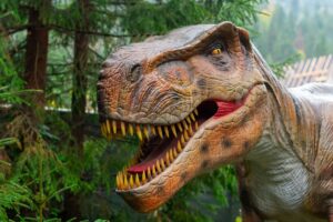 Dinos parc près du camping